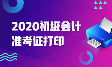 2020年海南省初级会计准考证什么时候打印？